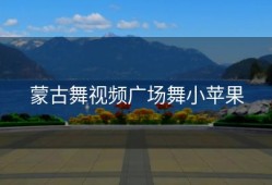 蒙古舞视频广场舞小苹果