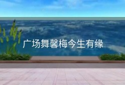 广场舞馨梅今生有缘