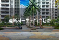 迪斯科一生无悔广场舞