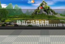 糖豆广场舞佛舞