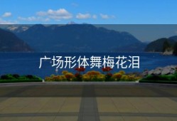 广场形体舞梅花泪