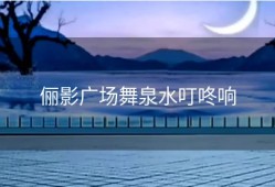 俪影广场舞泉水叮咚响