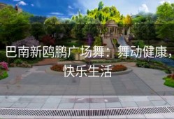 巴南新鸥鹏广场舞：舞动健康，快乐生活
