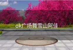 ok广场舞雪山阿佳