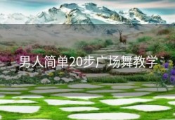 男人简单20步广场舞教学