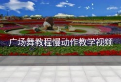 广场舞教程慢动作教学视频