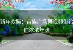 新年欢腾：苗族广场舞视频带给你浓浓年味