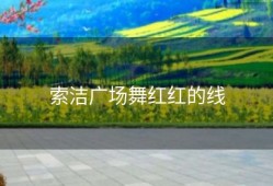 索洁广场舞红红的线