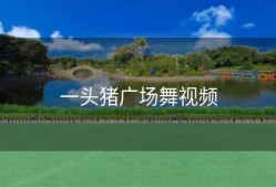 一头猪广场舞视频