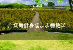 广场舞健身操走步舞教学