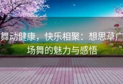 舞动健康，快乐相聚：想思草广场舞的魅力与感悟