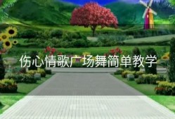 伤心情歌广场舞简单教学