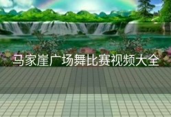 马家崖广场舞比赛视频大全