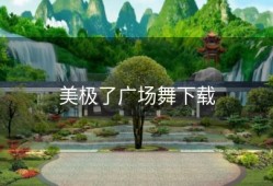 美极了广场舞下载