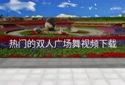 热门的双人广场舞视频下载