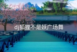 dj狐狸不是妖广场舞