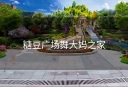 糖豆广场舞大妈之家