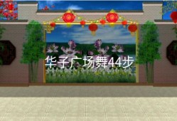 华子广场舞44步