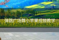 弹跳广场舞小苹果视频教学