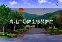 青儿广场舞尘缘梦舞曲