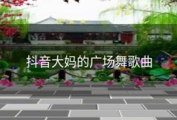 抖音大妈的广场舞歌曲