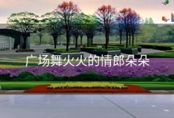 广场舞火火的情郎朵朵