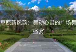 草原新风韵：舞动心灵的广场舞盛宴