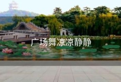 广场舞凉凉静静