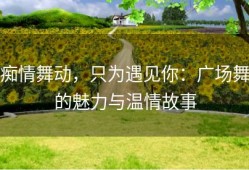 痴情舞动，只为遇见你：广场舞的魅力与温情故事