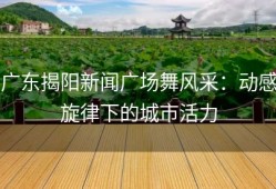 广东揭阳新闻广场舞风采：动感旋律下的城市活力