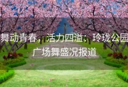 舞动青春，活力四溢：玲珑公园广场舞盛况报道