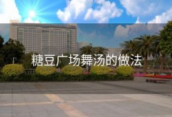 糖豆广场舞汤的做法