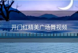 开门红精美广场舞视频