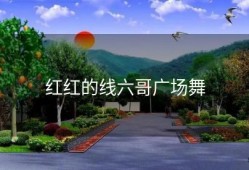 红红的线六哥广场舞