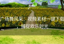 广场舞风采：视频素材一键下载，捕捉欢乐时光