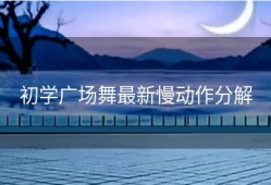 初学广场舞最新慢动作分解