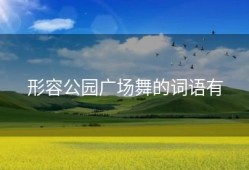 形容公园广场舞的词语有