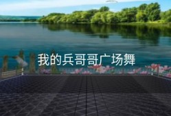 我的兵哥哥广场舞