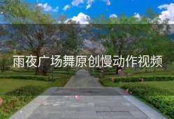 雨夜广场舞原创慢动作视频