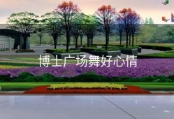 博士广场舞好心情