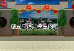 糖豆广场舞今生的唯一