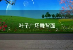 叶子广场舞背面