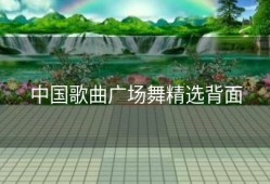 中国歌曲广场舞精选背面