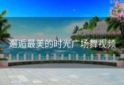 邂逅最美的时光广场舞视频