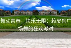 舞动青春，快乐无限：赖皮狗广场舞的狂欢派对