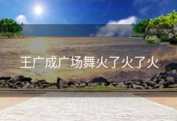 王广成广场舞火了火了火