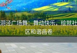洞泾广场舞：舞动快乐，绘就社区和谐画卷