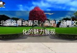 北湖路舞动春风：南宁广场舞文化的魅力展现