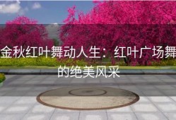 金秋红叶舞动人生：红叶广场舞的绝美风采