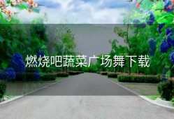 燃烧吧蔬菜广场舞下载